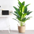 Artificial Plant | Resin & Large-Leaf Tropical | Indoor & Outdoor