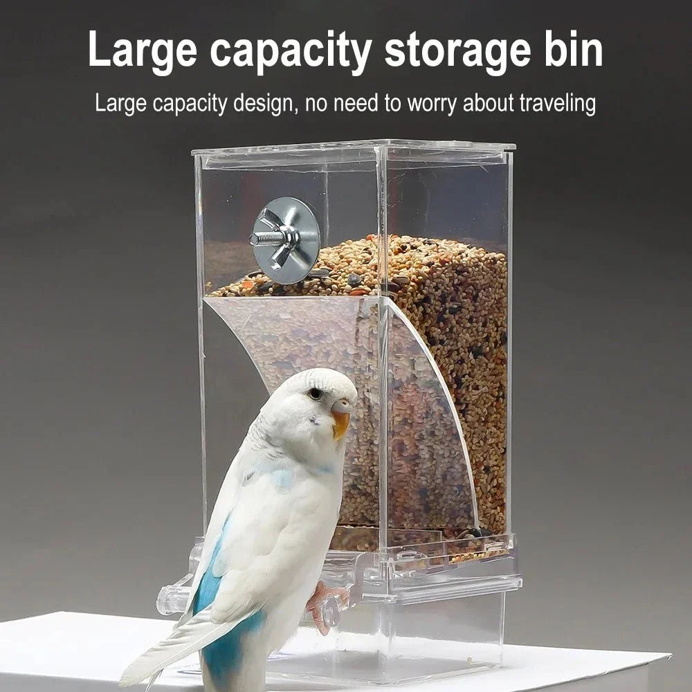 Automatic Bird Feeder | Spill-Proof & Splash-Proof | For Small Birds