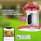Bird Feeder | 1080P Wide-Angle Camera Anti-Ant & Bee-Proof