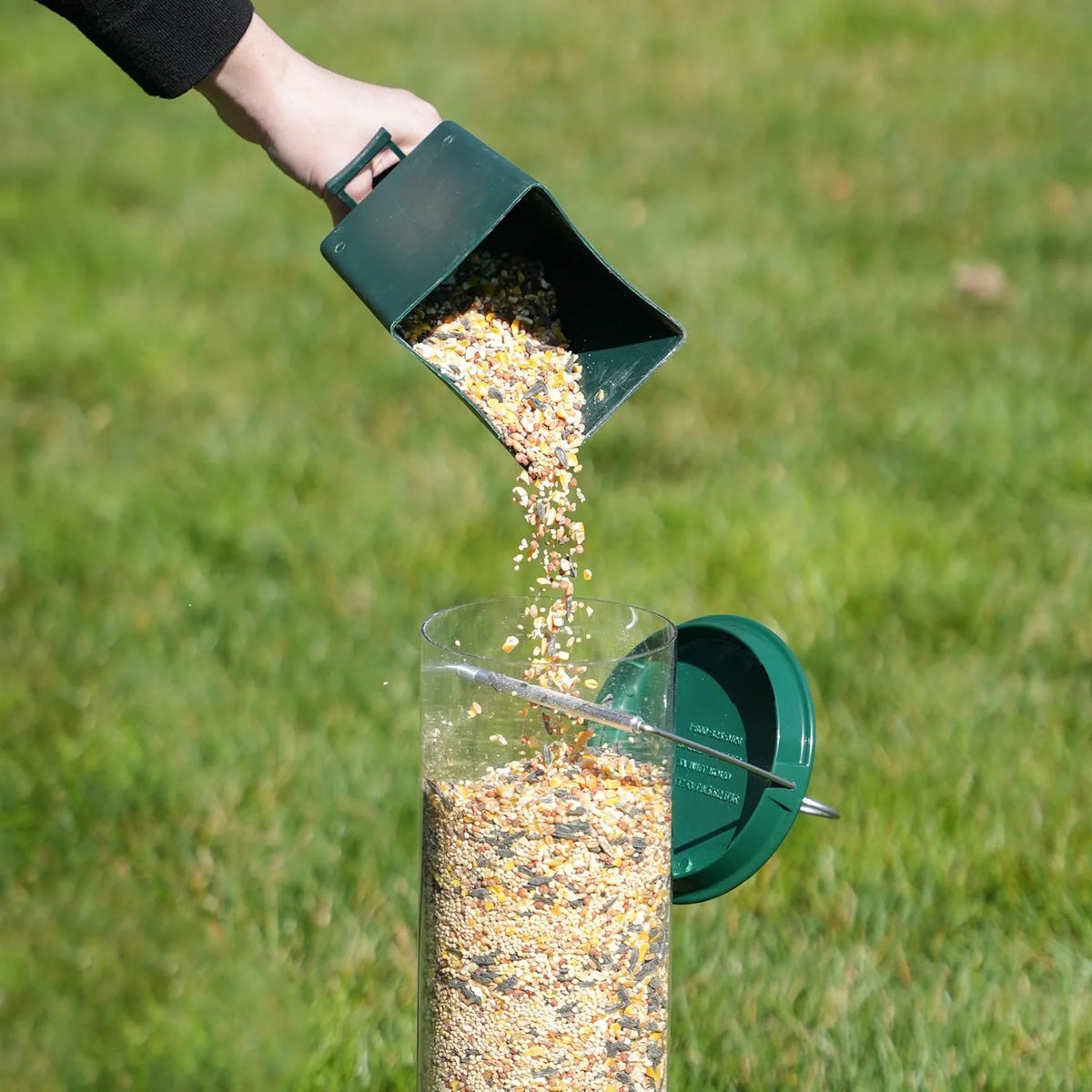 Bird Feeder | Squirrel-Proof Rotating Perch & Large Capacity | Hanging Mount