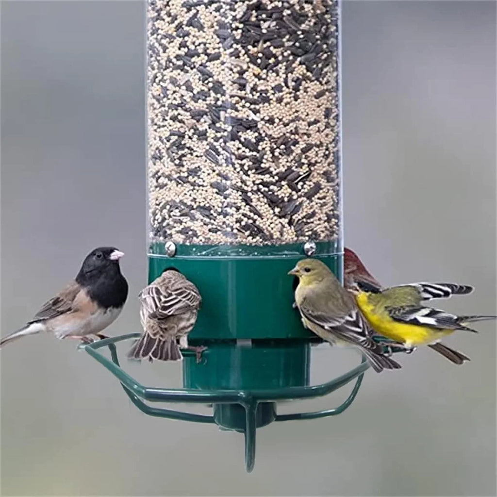Bird Feeder | Squirrel-Proof Rotating Perch & Large Capacity | Hanging Mount