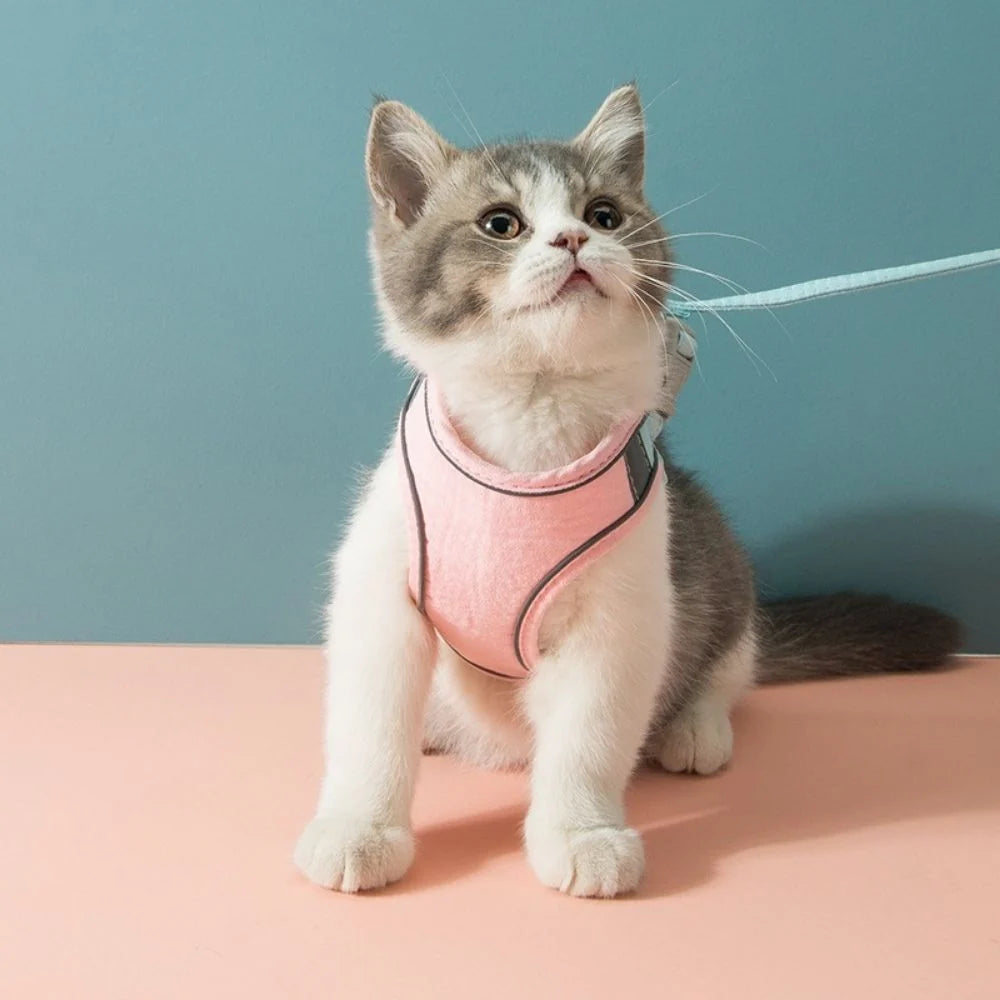 Cat Harness | Escape-Proof & Breathable Soft | Adjustable Straps