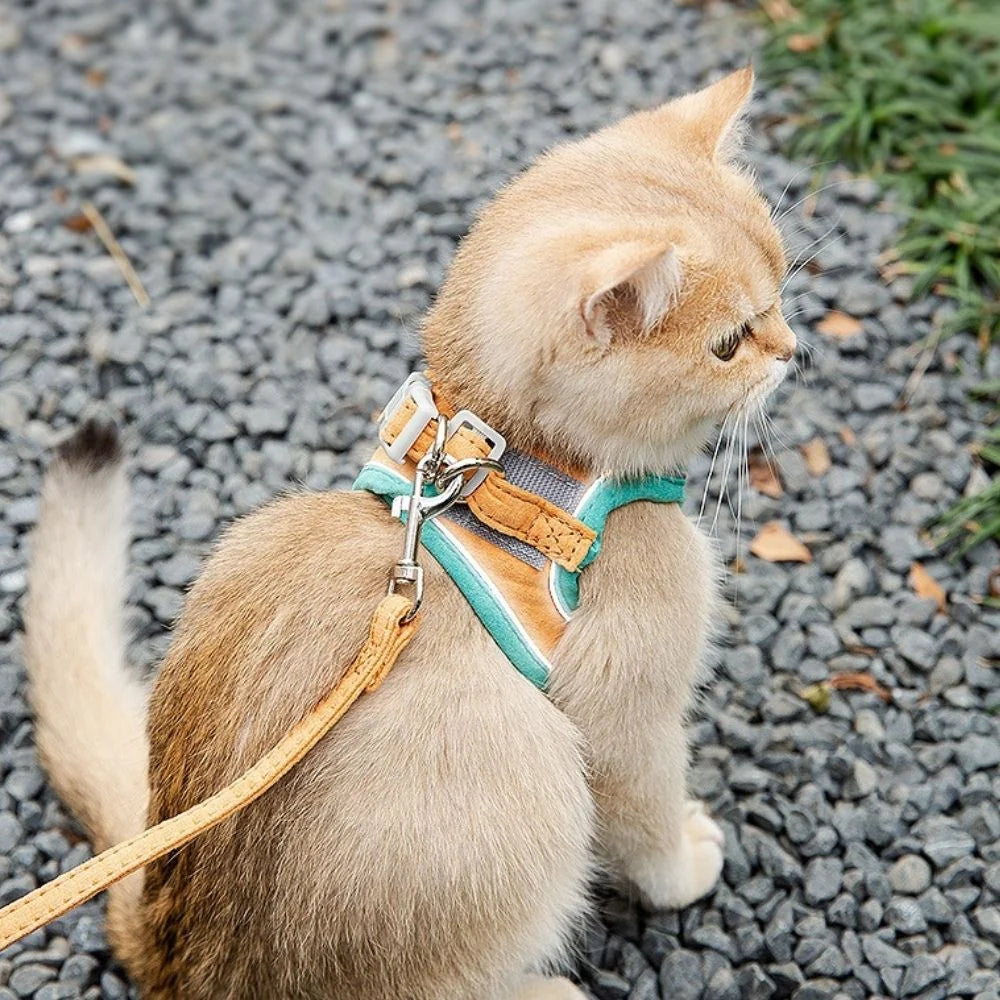 Cat Harness | Escape-Proof & Breathable Soft | Adjustable Straps