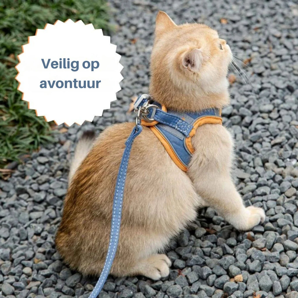 Cat Harness | Escape-Proof & Breathable Soft | Adjustable Straps