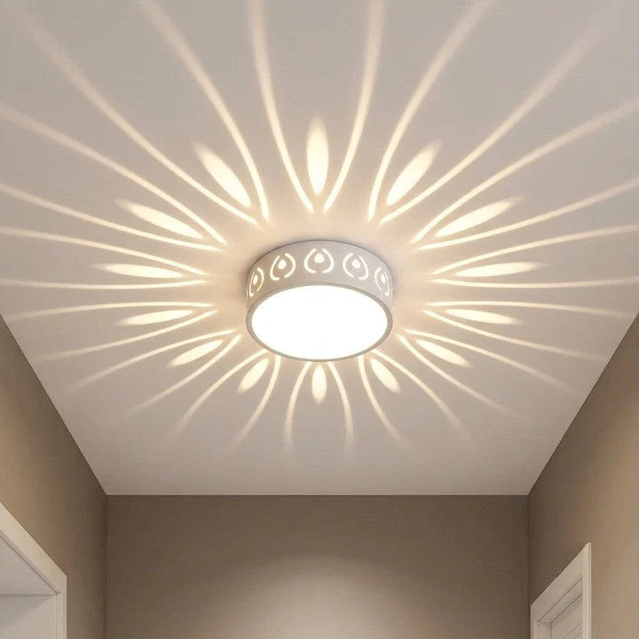Ceiling Lamp | LED Crystal-Acrylic Diffuser & Dual-Color