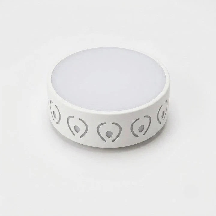 Ceiling Lamp | LED Crystal-Acrylic Diffuser & Dual-Color