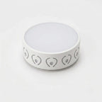 Ceiling Lamp | LED Crystal-Acrylic Diffuser & Dual-Color