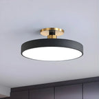 Ceiling Light | Nordic-Style Acrylic LED | 30–49 cm Diameter