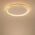 Ceiling Light | Scandinavian Design & Integrated LED