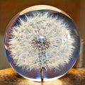 Decorative Glass Orb | Real Dandelion Encased & Crystal Effect | Approx. 7 cm