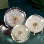Decorative Glass Orb | Real Dandelion Encased & Crystal Effect | Approx. 7 cm