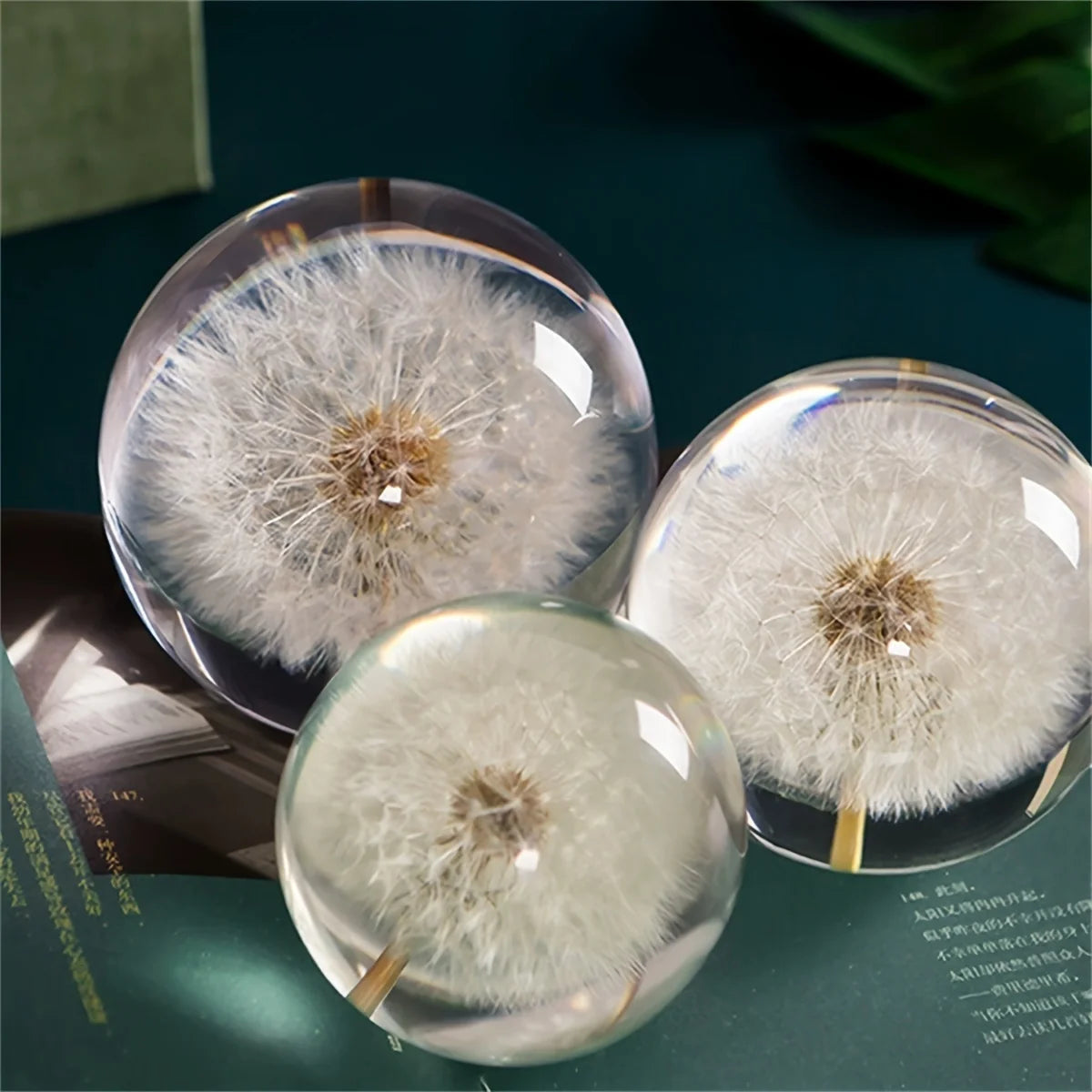 Decorative Glass Orb | Real Dandelion Encased & Crystal Effect | Approx. 7 cm