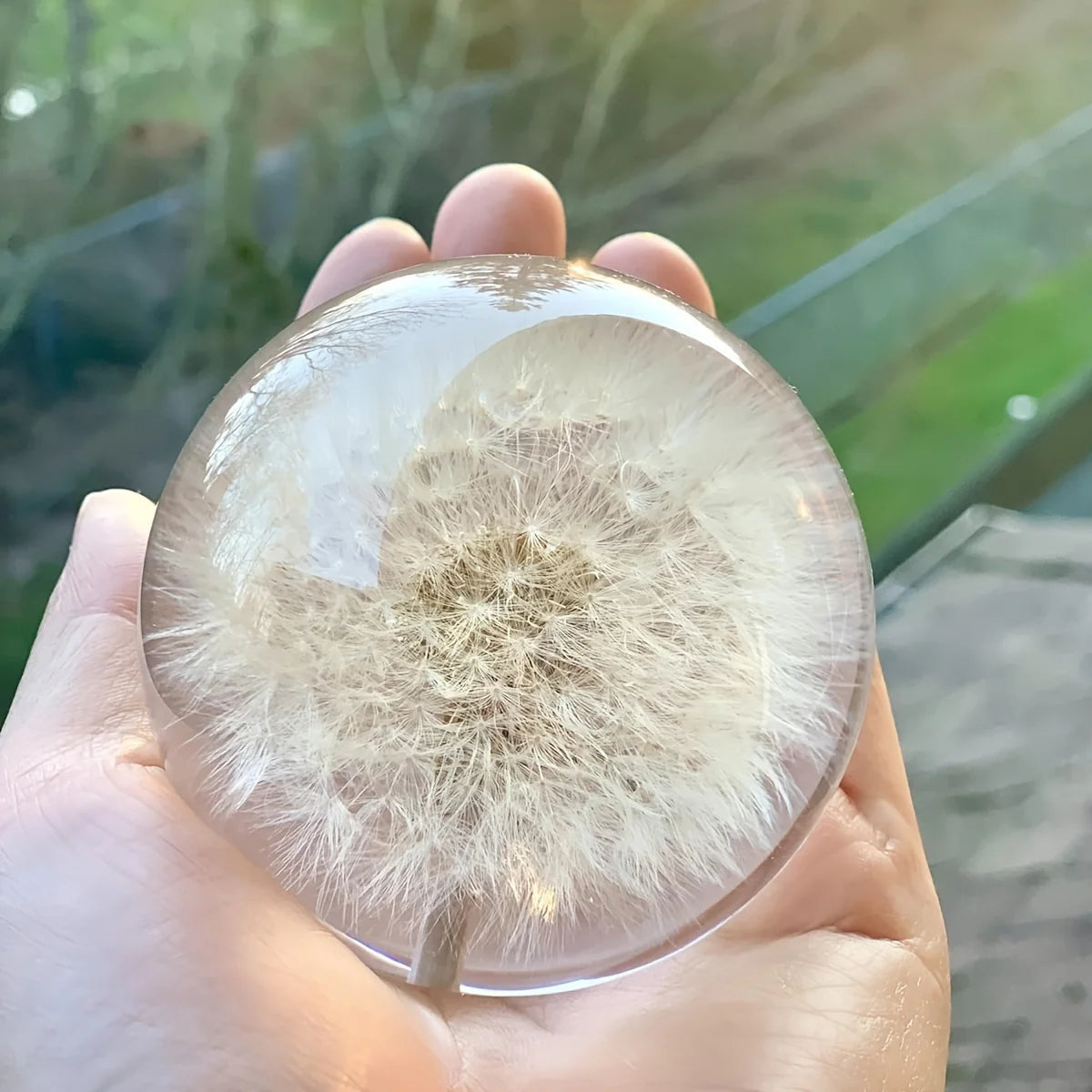 Decorative Glass Orb | Real Dandelion Encased & Crystal Effect | Approx. 7 cm