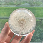Decorative Glass Orb | Real Dandelion Encased & Crystal Effect | Approx. 7 cm