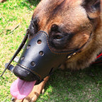Dog Muzzle | Breathable Mesh & Adjustable Fit
