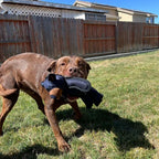 Dog Toy | Durable & Built-In Squeaker | For Power Chewers