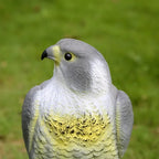 Falcon Decoy | Realistic PE Resin & Weather-Resistant | 40 cm