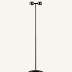 Floor Lamp | Dual-Head Adjustable Arch | Modern Design