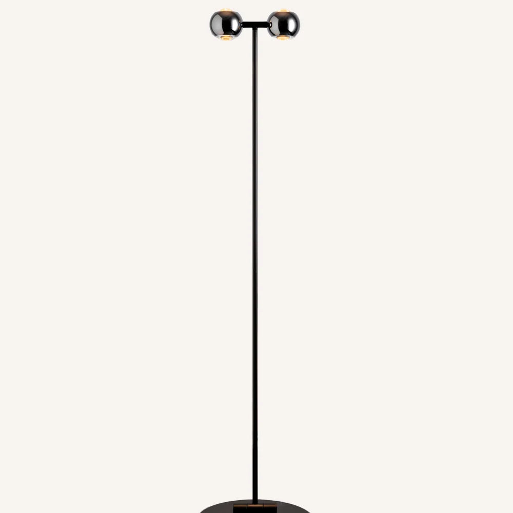Floor Lamp | Dual-Head Adjustable Arch | Modern Design