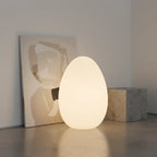 Floor Lamp | Egg-Shaped Sculptural LED & Molded Shell | Weighted Base