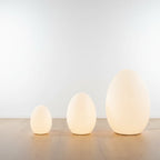 Floor Lamp | Egg-Shaped Sculptural LED & Molded Shell | Weighted Base