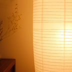 Floor Lamp | Paper Shade & Dual Light Sources | Plug-In E14