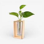 Flower Vase | Tubular Glass Tube & Wood Stand