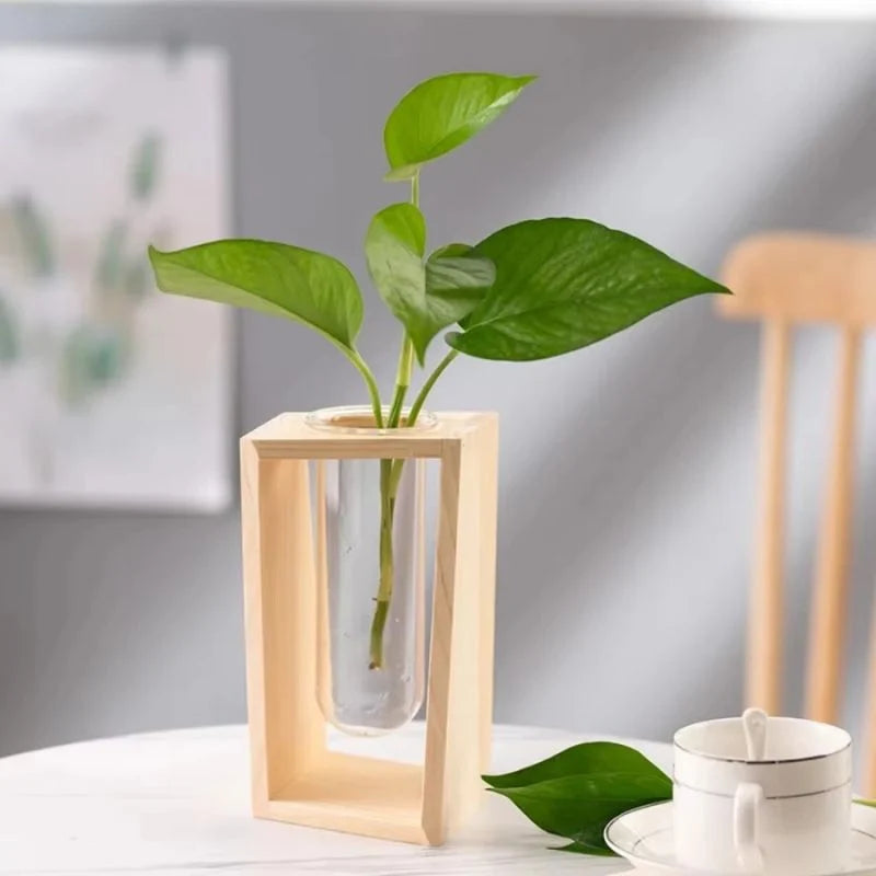 Flower Vase | Tubular Glass Tube & Wood Stand