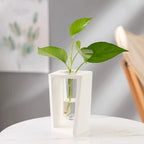 Flower Vase | Tubular Glass Tube & Wood Stand