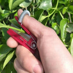 Fruit Picker Tool | Stainless Steel | For Hard-to-Reach Fruit