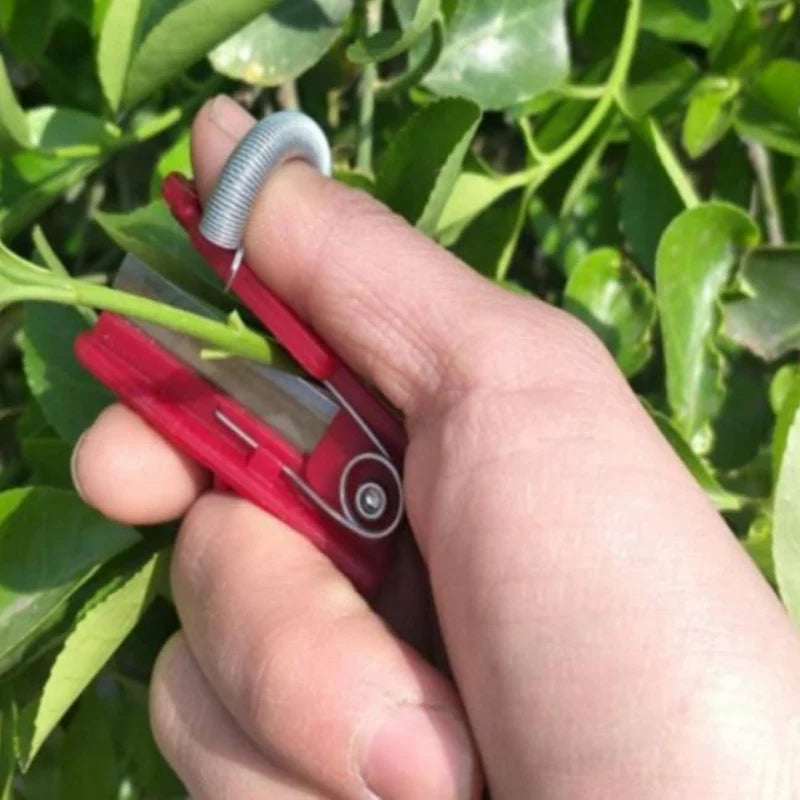 Fruit Picker Tool | Stainless Steel | For Hard-to-Reach Fruit