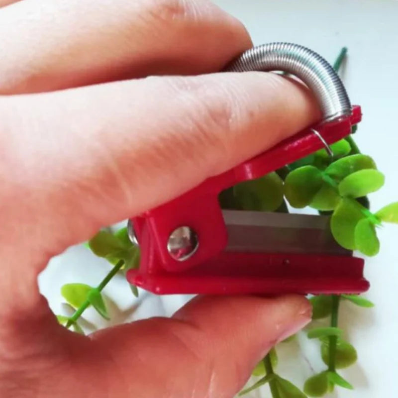 Fruit Picker Tool | Stainless Steel | For Hard-to-Reach Fruit