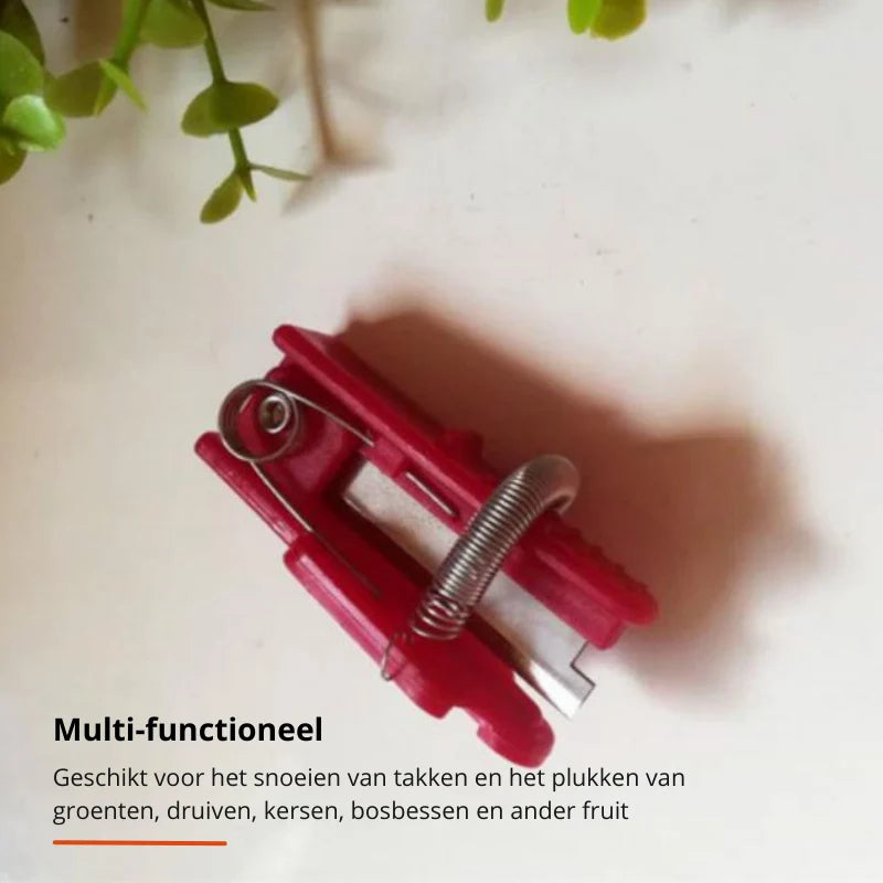 Fruit Picker Tool | Stainless Steel | For Hard-to-Reach Fruit