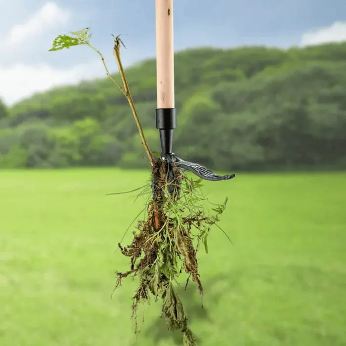 Garden Weed Puller | Four-Claw Foot-Pedal | Rust-Resistant Steel