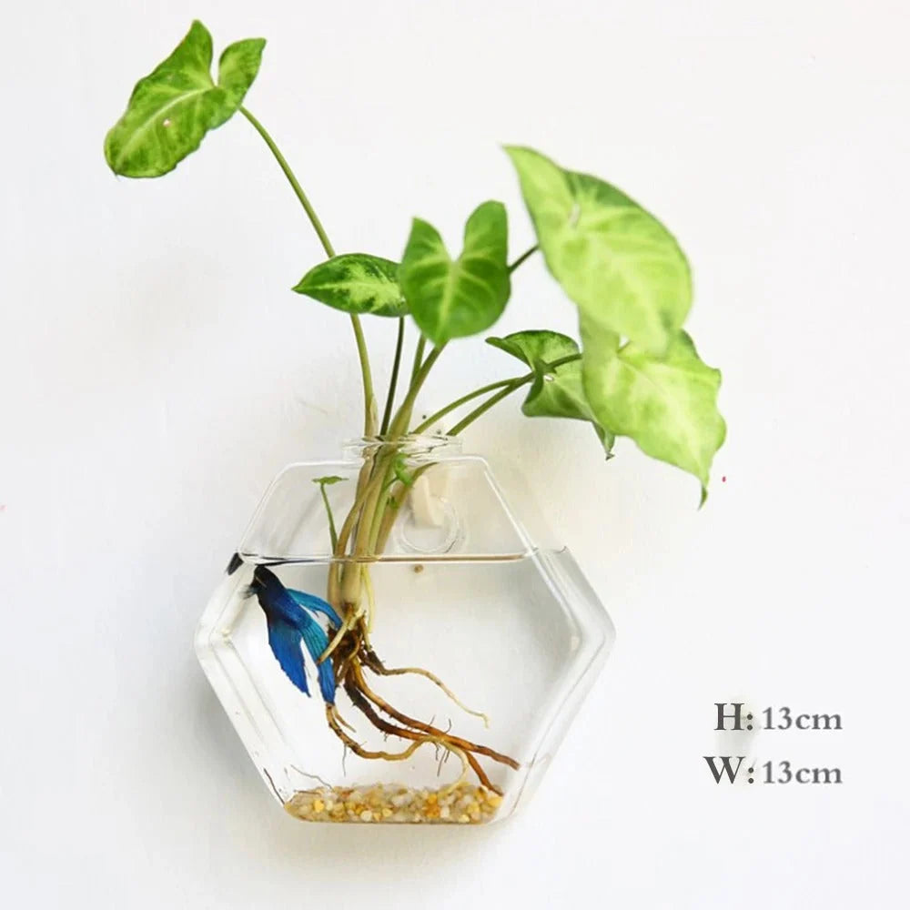 Glass Wall Vase | Borosilicate Glass & Wall-Mounted Design
