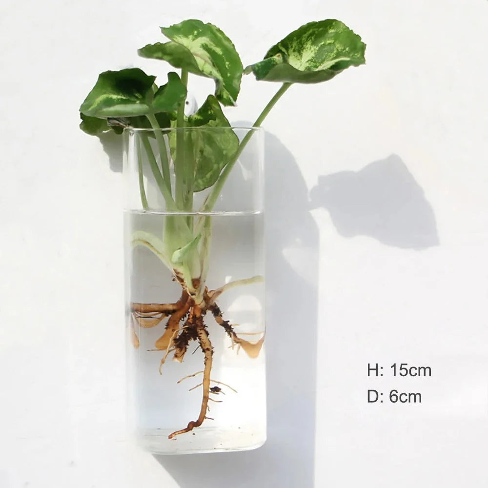 Glass Wall Vase | Borosilicate Glass & Wall-Mounted Design