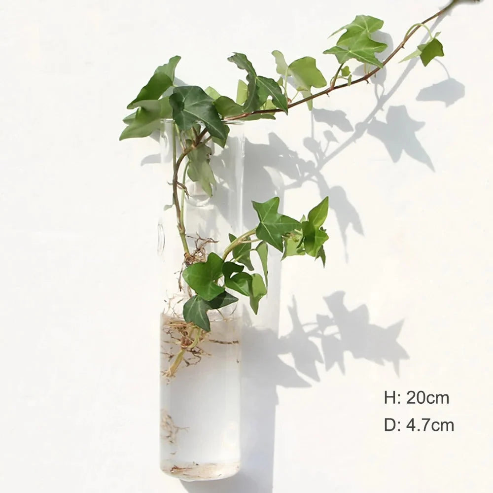 Glass Wall Vase | Borosilicate Glass & Wall-Mounted Design