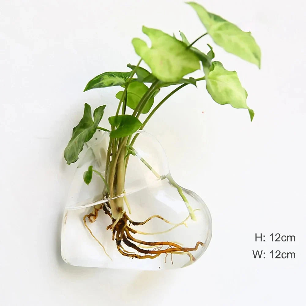Glass Wall Vase | Borosilicate Glass & Wall-Mounted Design