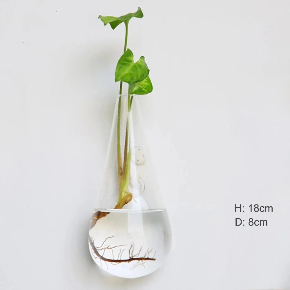 Glass Wall Vase | Borosilicate Glass & Wall-Mounted Design