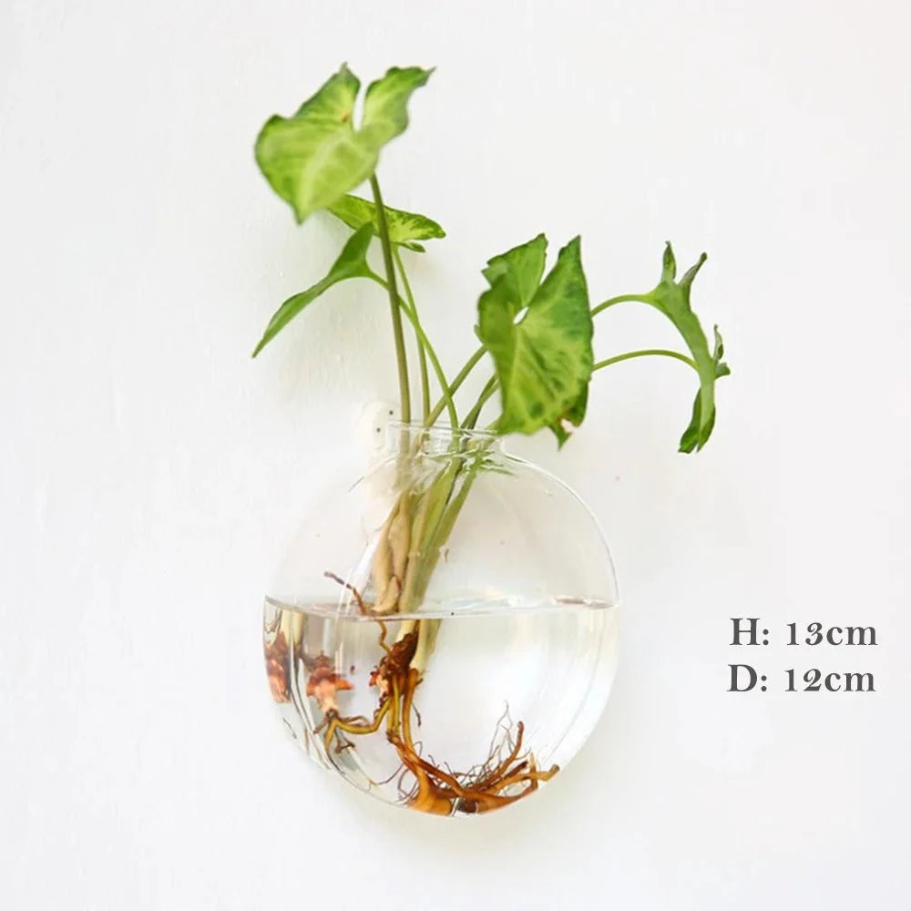 Glass Wall Vase | Borosilicate Glass & Wall-Mounted Design