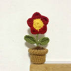 Handcrafted Knitted Flower | Cotton-Blend & Everlasting | 4 cm Pot