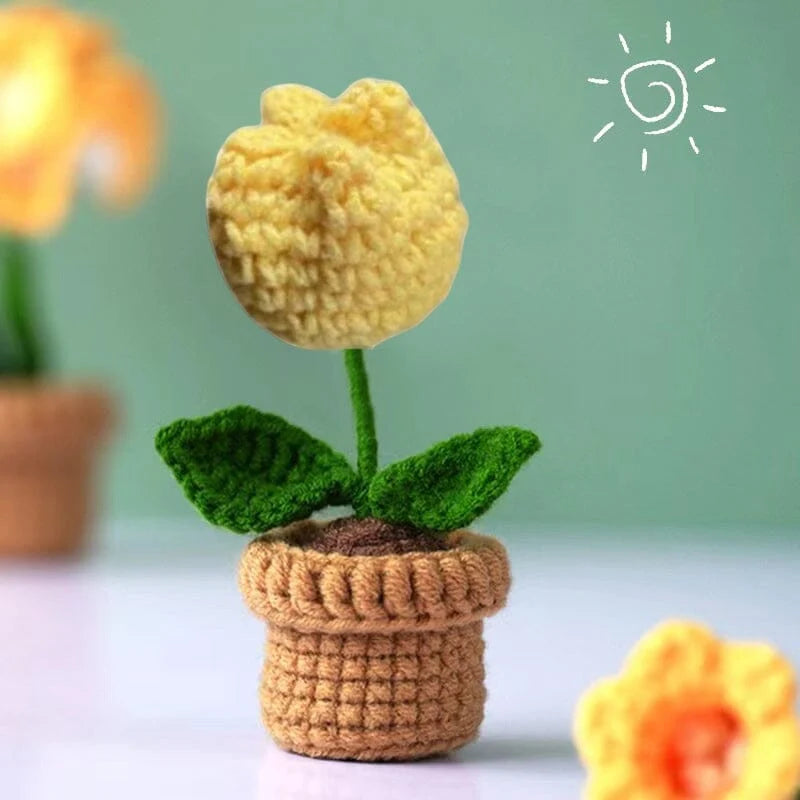 Handcrafted Knitted Flower | Cotton-Blend & Everlasting | 4 cm Pot