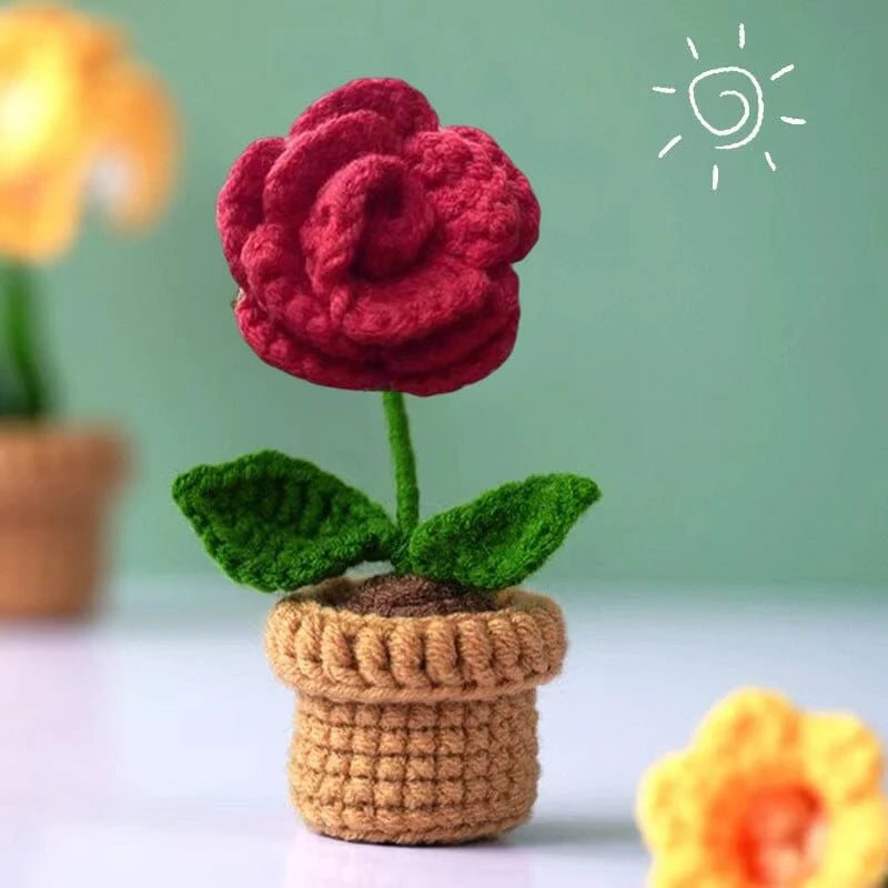 Handcrafted Knitted Flower | Cotton-Blend & Everlasting | 4 cm Pot