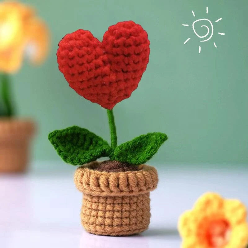 Handcrafted Knitted Flower | Cotton-Blend & Everlasting | 4 cm Pot