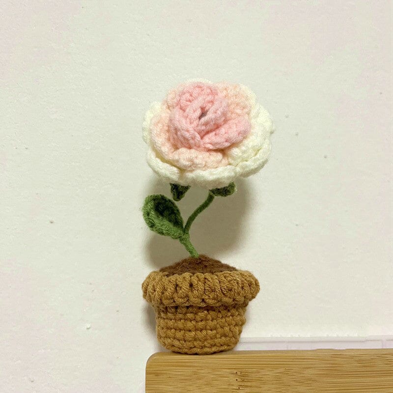 Handcrafted Knitted Flower | Cotton-Blend & Everlasting | 4 cm Pot