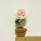 Handcrafted Knitted Flower | Cotton-Blend & Everlasting | 4 cm Pot