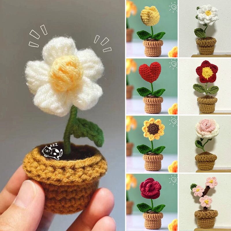 Handcrafted Knitted Flower | Cotton-Blend & Everlasting | 4 cm Pot
