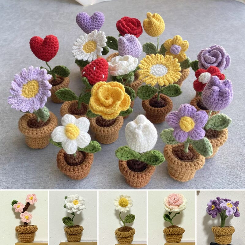 Handcrafted Knitted Flower | Cotton-Blend & Everlasting | 4 cm Pot