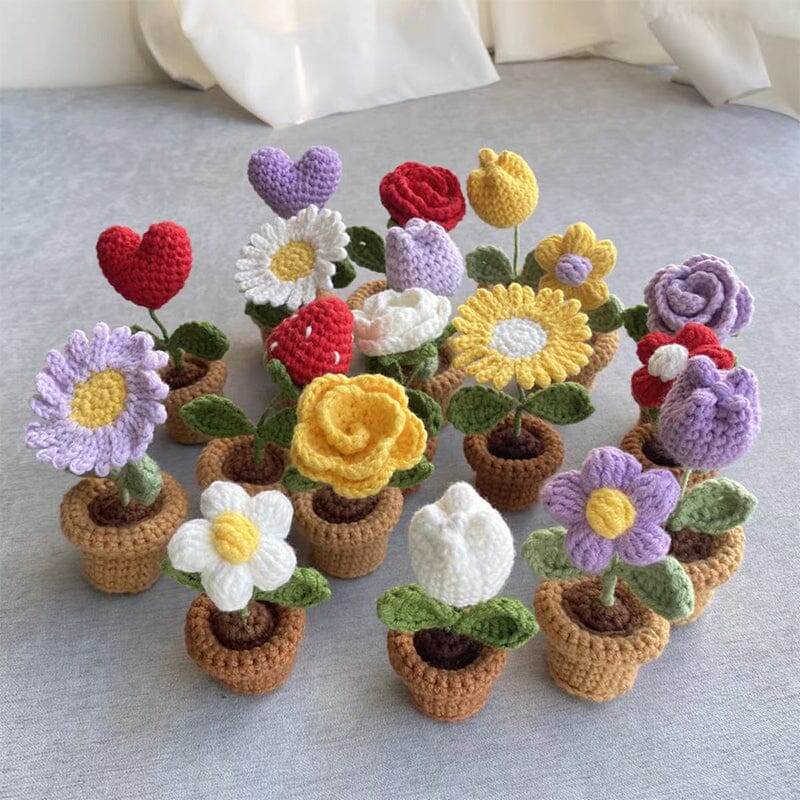Handcrafted Knitted Flower | Cotton-Blend & Everlasting | 4 cm Pot