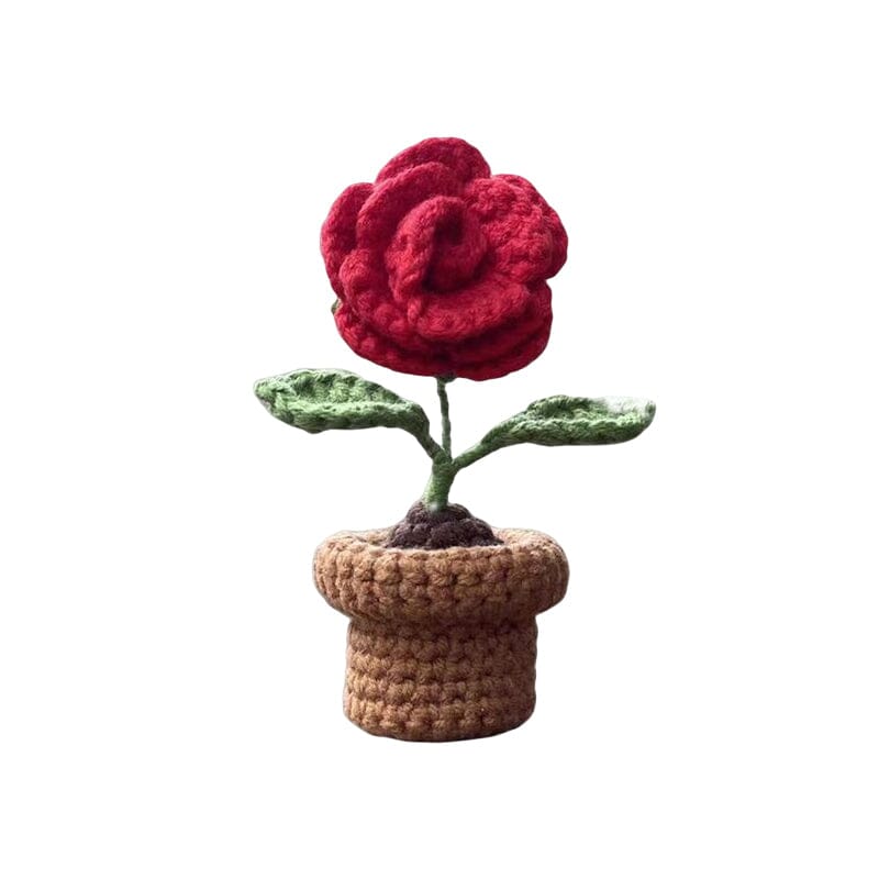 Handcrafted Knitted Flower | Cotton-Blend & Everlasting | 4 cm Pot